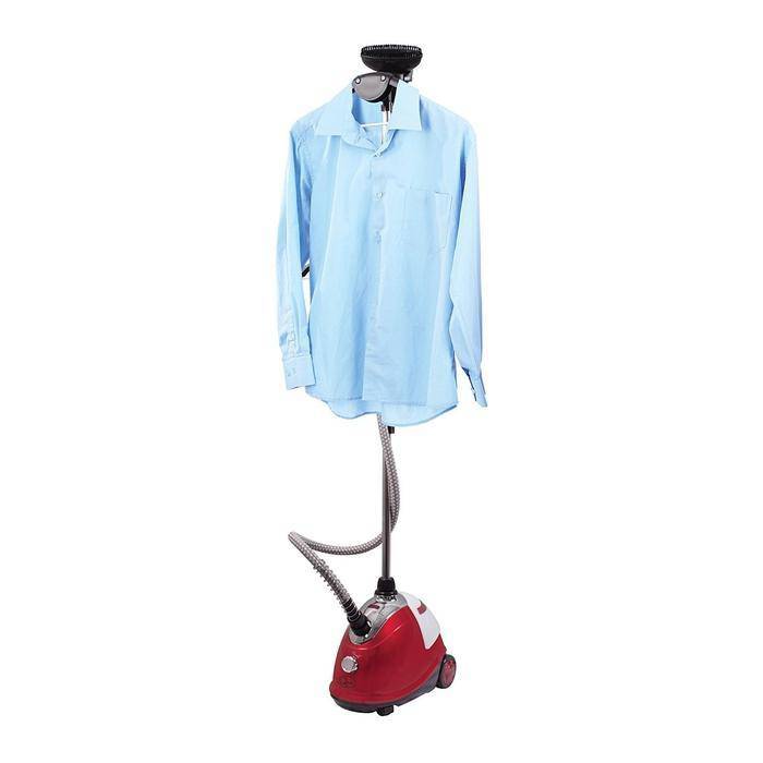 Professional Garment Steamer_1